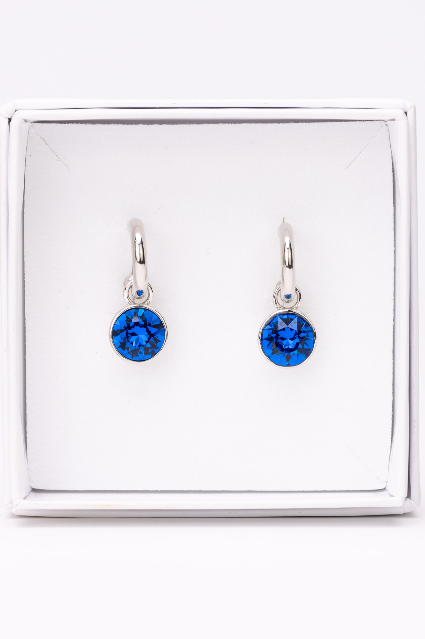 ESME EARRINGS SYLVER